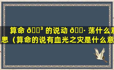 算命 🐳 的说动 🌷 荡什么意思（算命的说有血光之灾是什么意思）